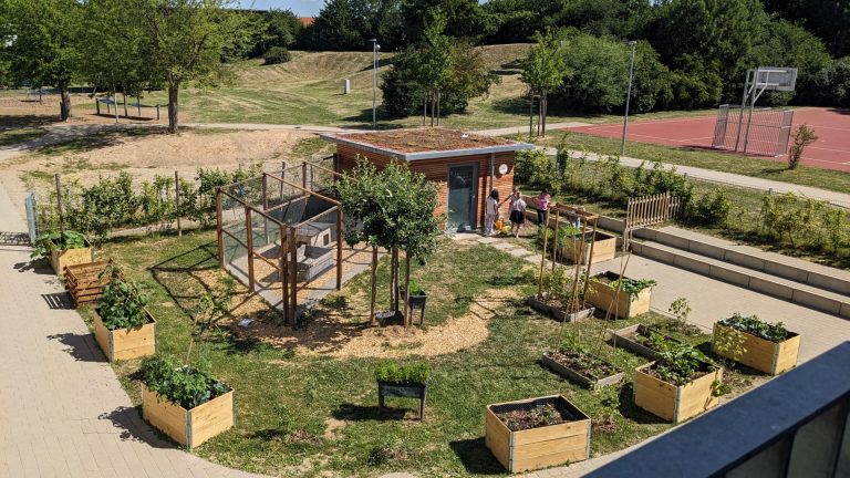 Neue Hochbeete für den Schulgarten